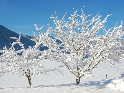 Neue Skibusverbindung von Brannenburg ins Skigebiet Sudelfeld